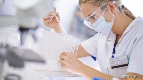 达州试管代生代怀全流程揭秘：从胚胎培养到成功分娩的真实经历